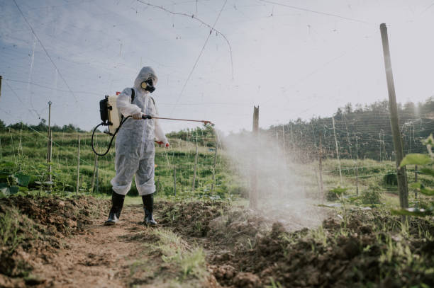 Best Best Pest Control Companies  in Zion, IL