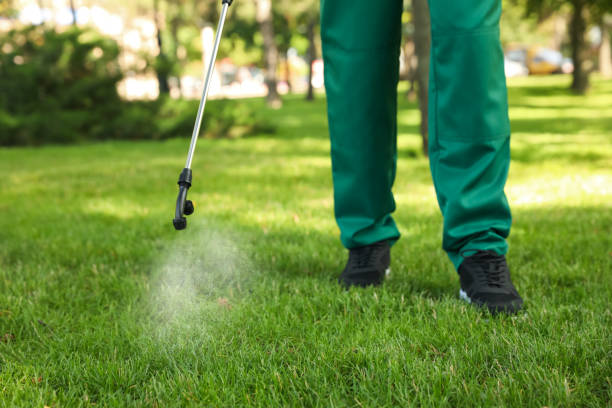 Best Residential Pest Control  in Zion, IL