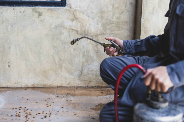 Best Wasp Removal Services  in Zion, IL